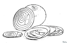 onion Coloring Pages To Print